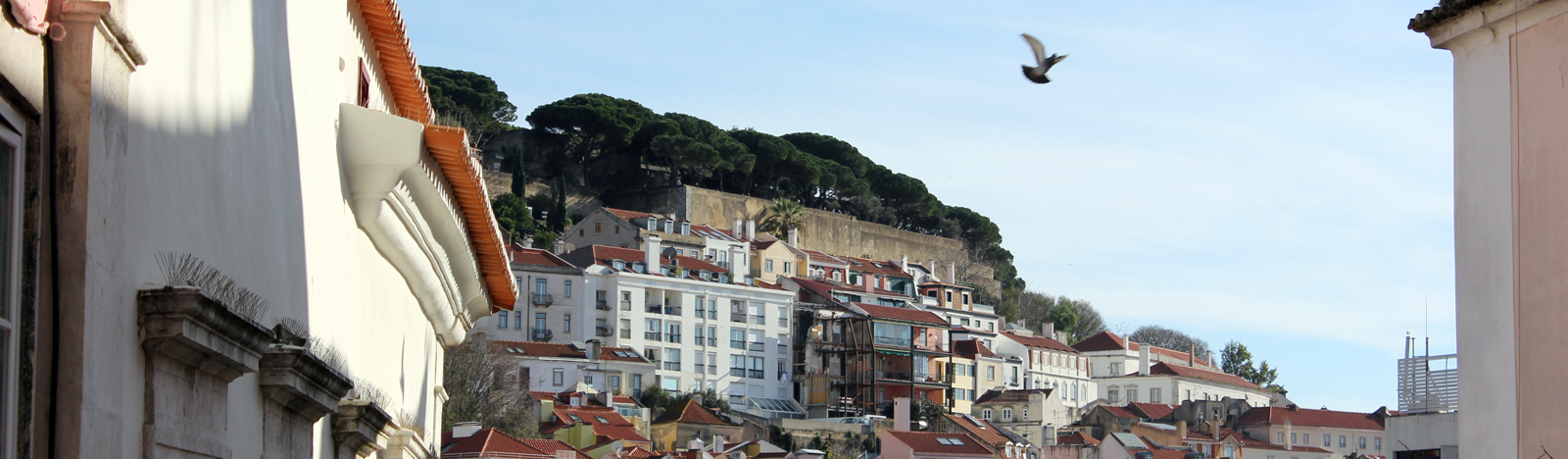 HostinLisbon